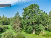 Nemenčinės miškų pušynų pašonėje, vos 3 - nuotraukos Nr. 7