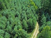 Gamtos Prieglobstyje Parduodama Sodyba - nuotraukos Nr. 10