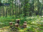Sengirės Ir Ąžuolų Apsuptyje Prie Neries – - nuotraukos Nr. 13