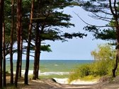 Nuo rugsėjo iki birželio mėnesio yra - nuotraukos Nr. 36