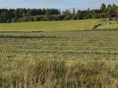 Plungės rajone, Prūsalių kaime, labai ramioje - nuotraukos Nr. 3