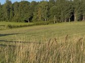 Plungės rajone, Prūsalių kaime, labai ramioje - nuotraukos Nr. 4