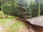 Erdvus Namas Vilniuje Su Privačiu Išėjimu Į - nuotraukos Nr. 7