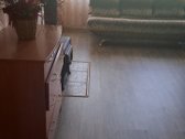 Plastikiniai langai,naujai betonuotos grindys - nuotraukos Nr. 7