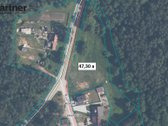 Vaizdingoje vietoje, miškų apsuptyje, - nuotraukos Nr. 4