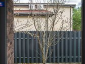 Parduodamas modernus 4 kambarių dvibutis - nuotraukos Nr. 21