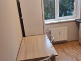 Išnuomojamas tvarkingas, ekonomiškas ir - nuotraukos Nr. 5