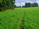 Parduodamas 44,11 a žemės sklypas Bartkuškio - nuotraukos Nr. 2