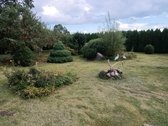 Parduodama Sodyba Varėnos R. – 38 Arai, 3 - nuotraukos Nr. 20