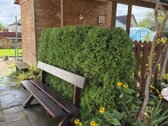 Parduodama Namo Dalis Panevėžyje – Šermukšnių G. 4 - nuotraukos Nr. 3