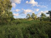 Komercinės Paskirties Sklypas Šalia Vilnius - nuotraukos Nr. 5