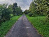 Geras ir patogus asfaltuotas privažiavimas ir - nuotraukos Nr. 2