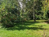 Geras ir patogus asfaltuotas privažiavimas ir - nuotraukos Nr. 5