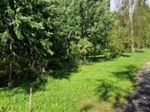 Geras ir patogus asfaltuotas privažiavimas ir - nuotraukos Nr. 6