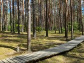 Parduodama Renovuota Namo Dalis Radikiuose - nuotraukos Nr. 26