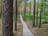Parduodama Renovuota Namo Dalis Radikiuose - nuotraukos Nr. 27