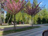 Parduodamas trijų kambarių butas su - nuotraukos Nr. 40