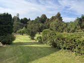 Parduodama sodyba su 6,25 ha sklypu ir - nuotraukos Nr. 10