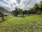Parduodama sodyba su 6,25 ha sklypu ir - nuotraukos Nr. 14