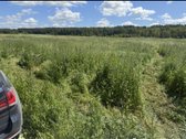 Sklypas Gykių kaime puse sklypo dirbama žemė - nuotraukos Nr. 2