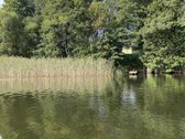 Parduodama sodyba su 6,25 ha sklypu ir - nuotraukos Nr. 19