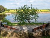 Netoli Kaišiadorių Parduodamas Mylėtas, - nuotraukos Nr. 29