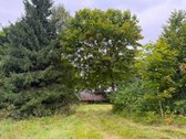 Anykščių r. sav., Netikiškių k. - nuotraukos Nr. 4