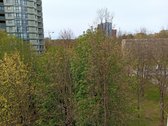 Nuo spalio mėn. nuomojamas butas renovuotame - nuotraukos Nr. 13