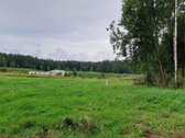 Miško apsuptyje, naujai besiformuojančiame - nuotraukos Nr. 14