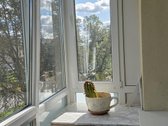 Renovuotas namas, kiemas. - nuotraukos Nr. 2