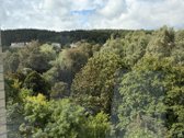 Šviesus 2 kambarių butas prie Neries ir - nuotraukos Nr. 15