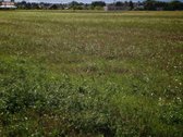 Parduodamas žemės sklypas Velželio k., Velžio sen. - nuotraukos Nr. 4