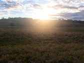 Parduodamas 5,90 ha žemės ūkio paskirties - nuotraukos Nr. 3
