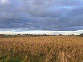 Parduodamas 5,90 ha žemės ūkio paskirties - nuotraukos Nr. 4