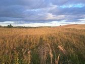 Parduodamas 5,90 ha žemės ūkio paskirties - nuotraukos Nr. 6