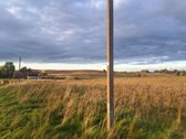 Parduodamas 5,90 ha žemės ūkio paskirties - nuotraukos Nr. 7