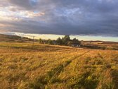 Parduodamas 5,90 ha žemės ūkio paskirties - nuotraukos Nr. 2