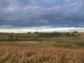 Parduodamas 5,90 ha žemės ūkio paskirties - nuotraukos Nr. 14