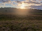 Parduodamas 5,90 ha žemės ūkio paskirties - nuotraukos Nr. 15