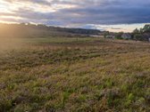 Parduodamas 5,90 ha žemės ūkio paskirties - nuotraukos Nr. 16