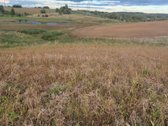 Parduodamas 5,90 ha žemės ūkio paskirties - nuotraukos Nr. 18