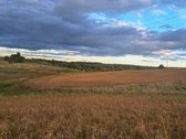 Parduodamas 5,90 ha žemės ūkio paskirties - nuotraukos Nr. 19