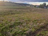 Parduodamas 5,90 ha žemės ūkio paskirties - nuotraukos Nr. 20
