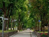2 kambarių butas Šiaulių pėsčiųjų bulvare – - nuotraukos Nr. 21