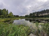 Didelio ploto daugiafunkcinis mūrinis plytų - nuotraukos Nr. 26