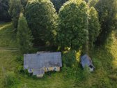 Vienkiemis, sodyba randasi nuošalioje vietoje - nuotraukos Nr. 2