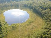 Vienkiemis, sodyba randasi nuošalioje vietoje - nuotraukos Nr. 4