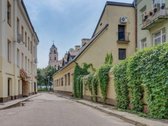 Nuomojamas Pilnai Įrengtas 1 Kambario Butas - nuotraukos Nr. 29