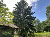 Parduodama Autentiška Sodyba 5,1235 Ha. - nuotraukos Nr. 4