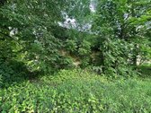 Parduodama Autentiška Sodyba 5,1235 Ha. - nuotraukos Nr. 13